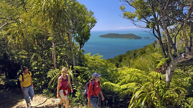 Walk The Queen Charlotte Track Near The Villa Backpackers Lodge In Picton Marlborough NZ