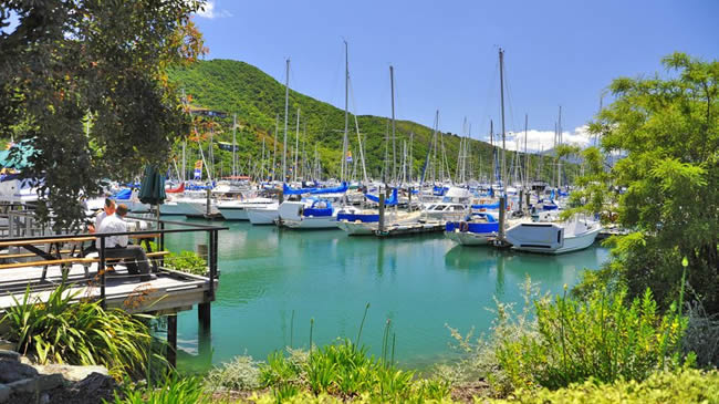 Activities And Attractions Found Near The Villa Backpackers Lodge In Picton Marlborough NZ