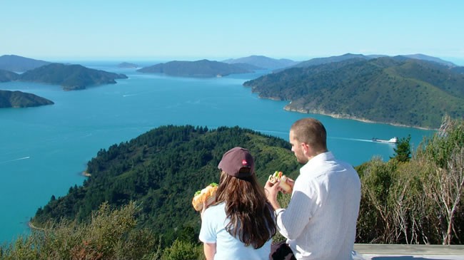 Bike The Queen Charlotte Track Near The Villa Backpackers Lodge In Picton Marlborough NZ